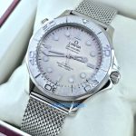 Seamaster Diver Bronze