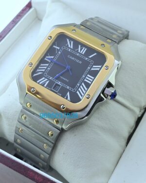 Dealer Of Cartier Santos Watches In Delhi