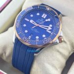 Seamaster 50th Anniversary